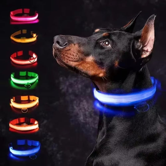 Ultra-Bright Rechargeable LED Dog Collar