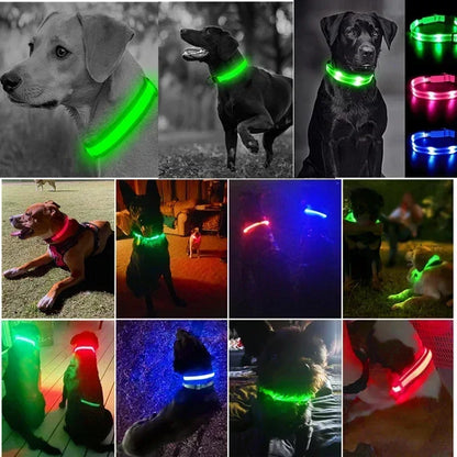 Ultra-Bright Rechargeable LED Dog Collar
