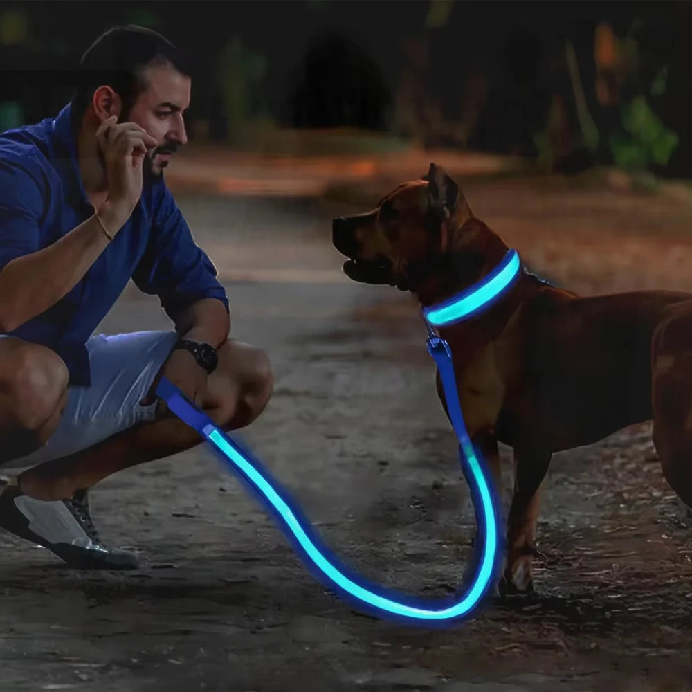 Ultra-Bright Rechargeable LED Dog Collar