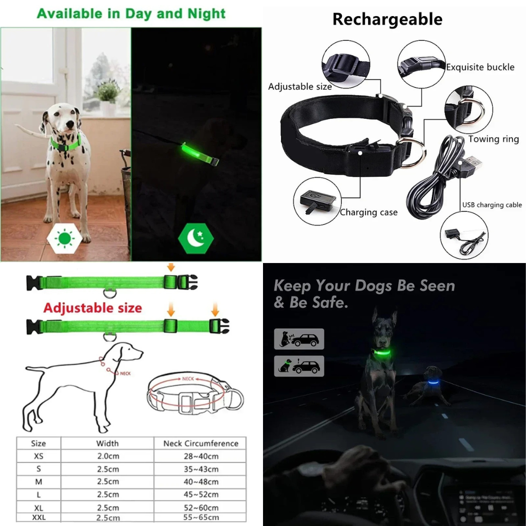 Ultra-Bright Rechargeable LED Dog Collar