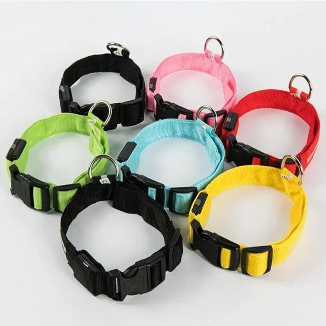 Ultra-Bright Rechargeable LED Dog Collar